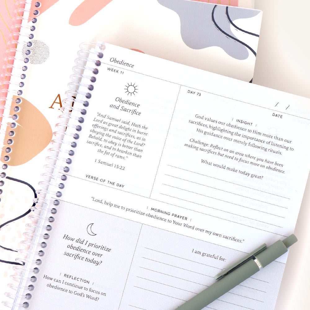 The Daily Walk Bundle