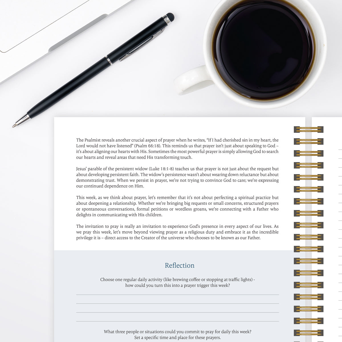 Bible In A Year Essentials