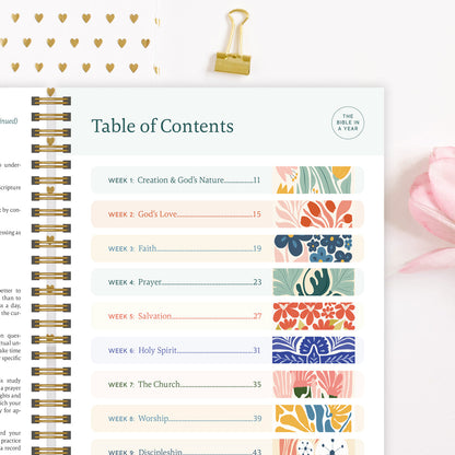 The Daily Walk Bundle