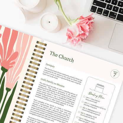 The Daily Walk Bundle