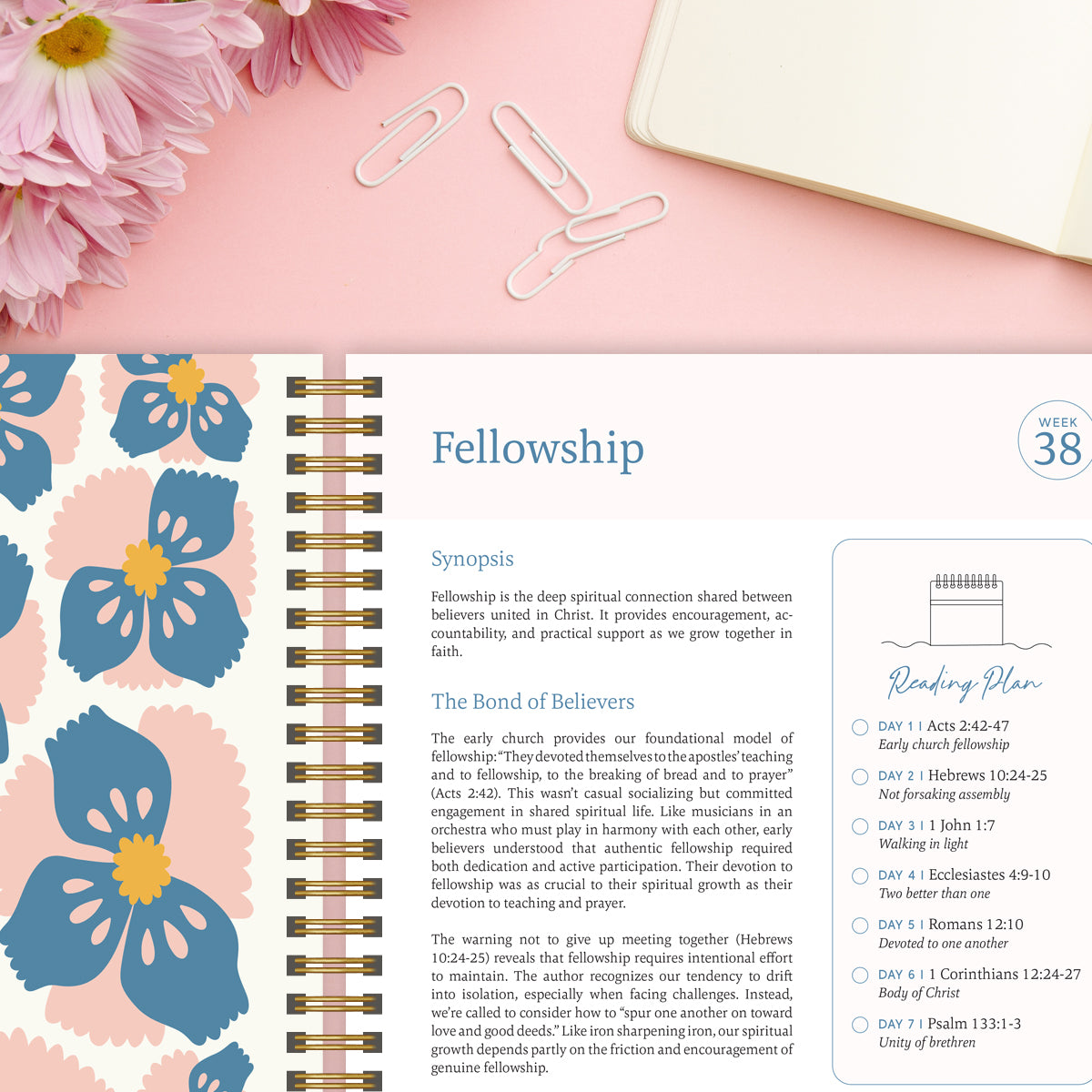 The Daily Walk Bundle