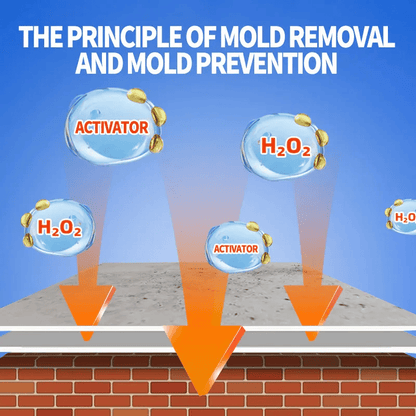 ✨Highly Effective Mould Removal Spray - Prevents Mould Regrowth